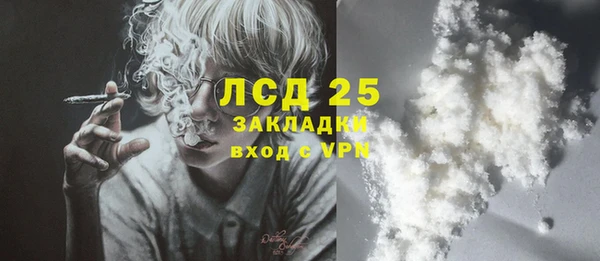 твердый Горняк