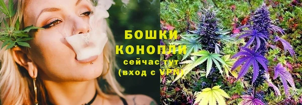 стафф Горнозаводск