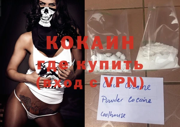 твердый Горняк