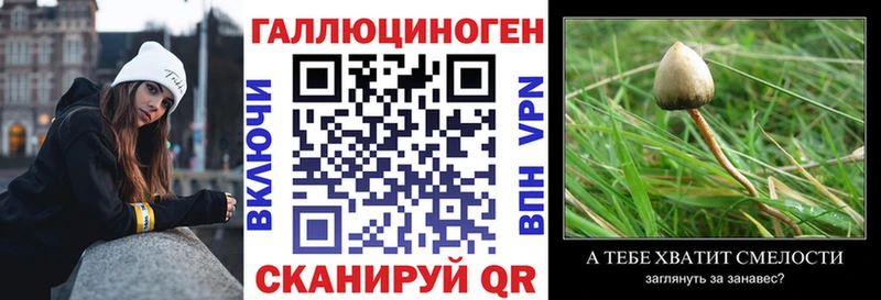 Псилоцибиновые грибы Psilocybine cubensis  нарко площадка какой сайт  Злынка 